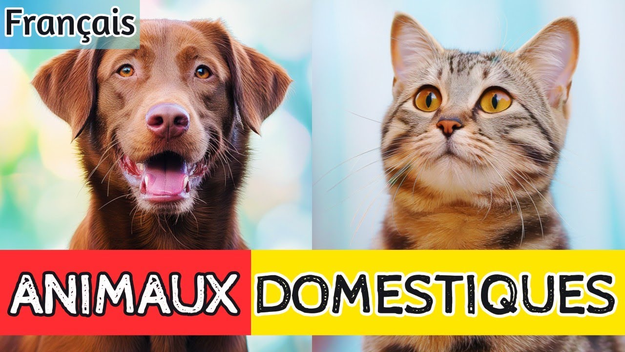 Animaux Domestiques : Noms et Sons pour Enfants 🐾