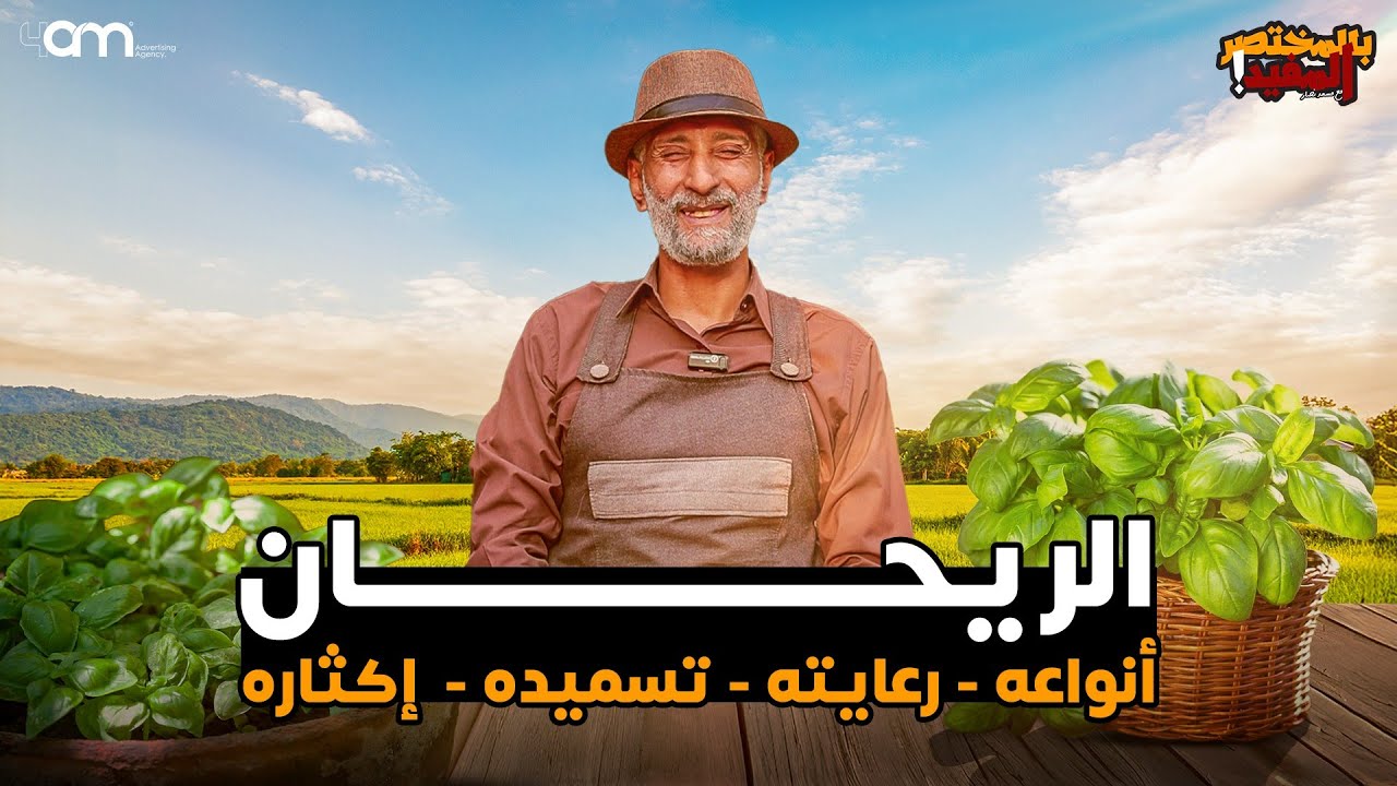 الجديد في أنواع الريحان وطرق الزراعة والرعاية والتسميد