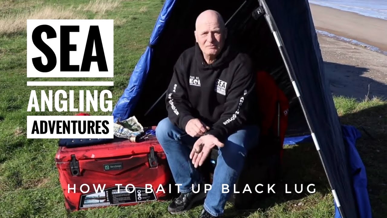 HOW TO BAIT UP BLACK LUG WITH SEA ANGLING ADVENTURES