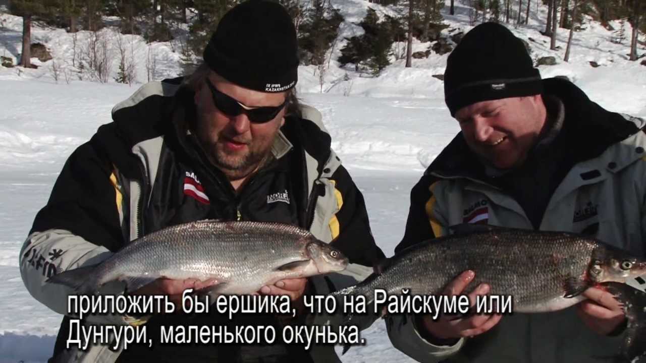 Рыбалка в Швеции, Сторуман - зима (часть 2/2)  / Ice fishing, Sweden