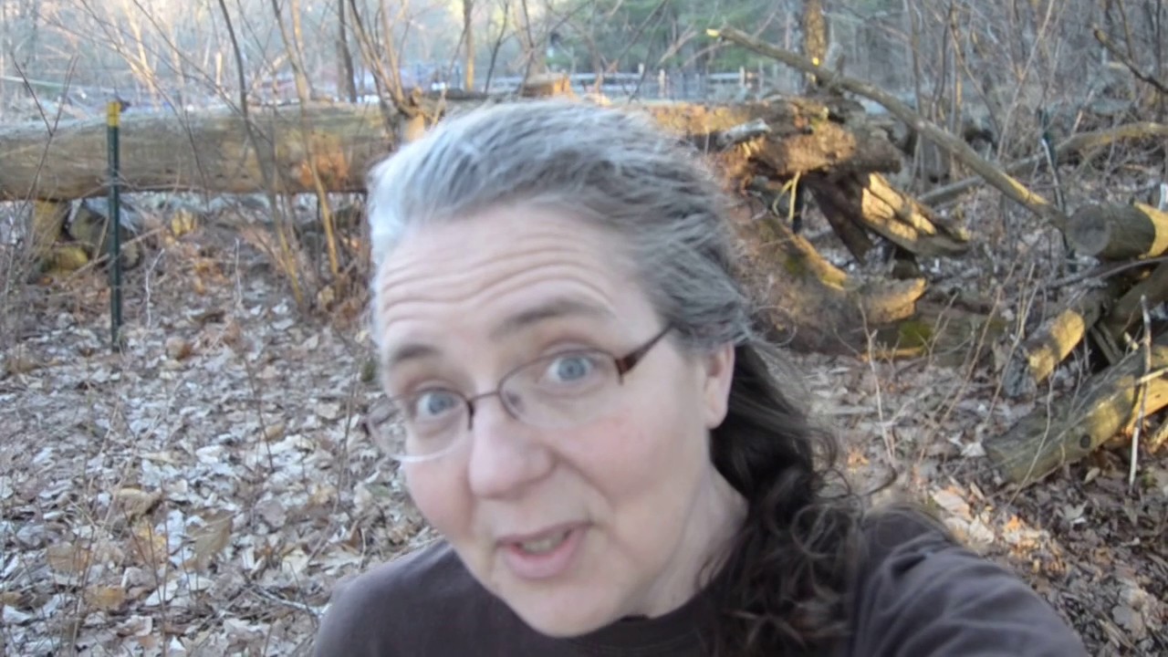 The sound of Spring in New England