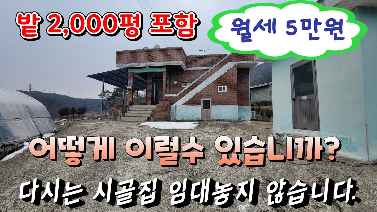 하~도 사정해서 시골빈집을 소개해줬는데, 어떻게 이럴수가 있습니까...