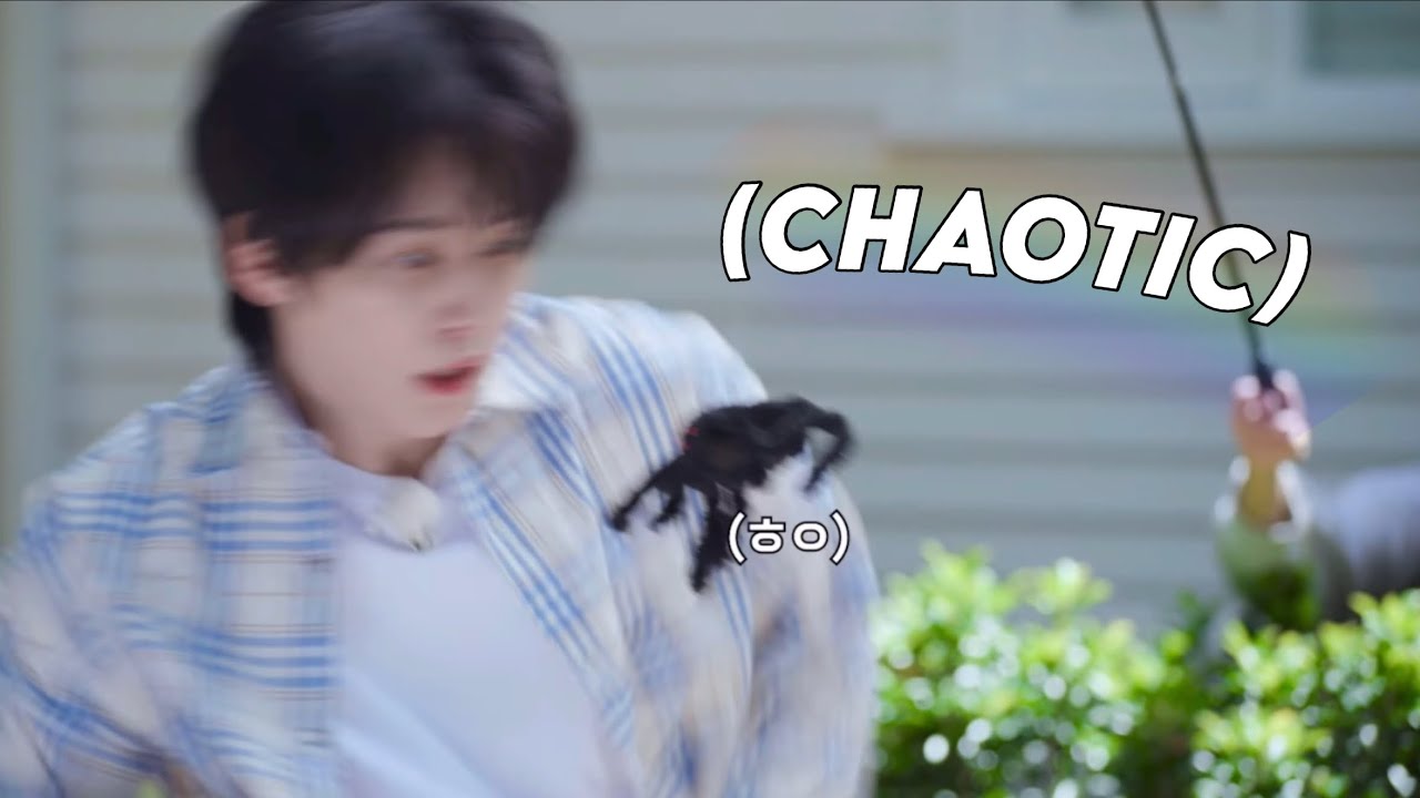 No one does it funny like Stray Kids