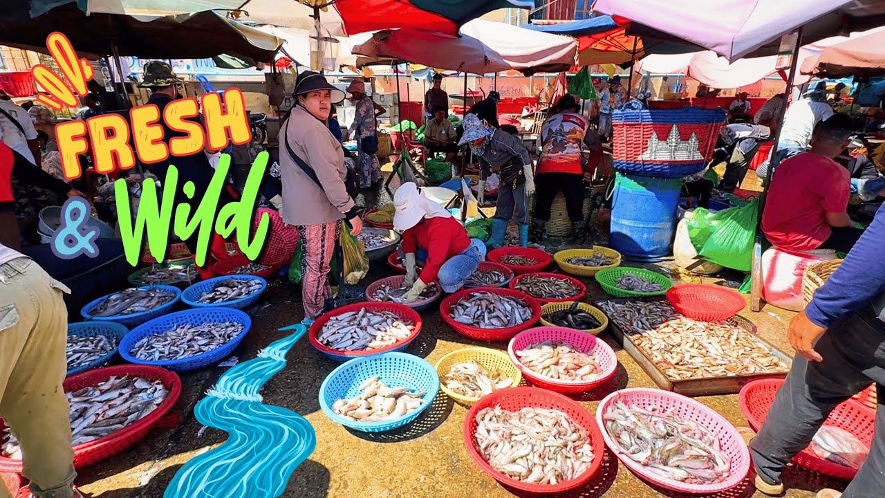 VIBRANT CHAOS 🐟🇰🇭 Fresh Finds at the River Fish Market | Silent Travel Vlog ✨ CAMBODIA