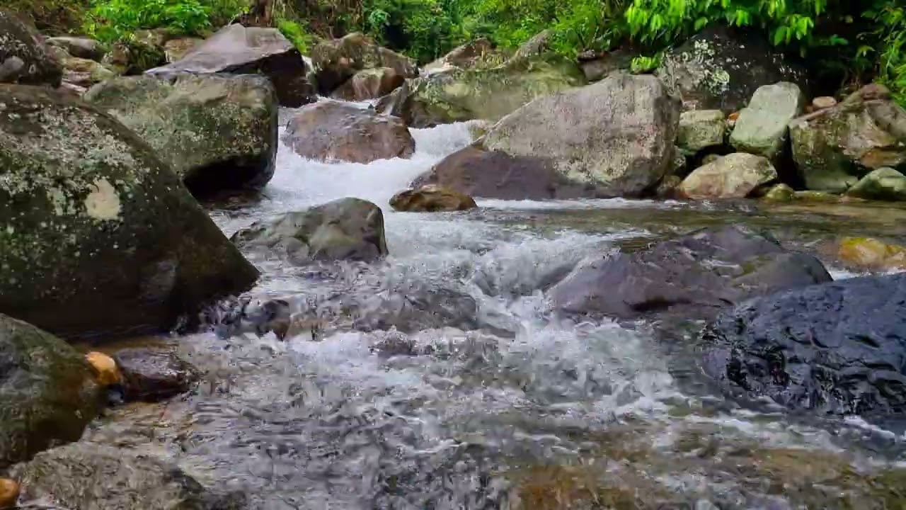 1 Hour Natural River Stream Ambience • Study River Flow Ambience for Calm Focus & Deep Work 4K