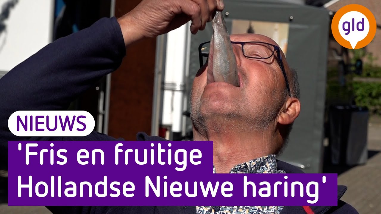 Hollandse Nieuwe happen: het kan weer!
