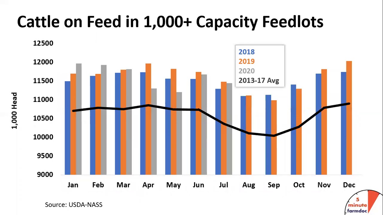 Cattle Inventory