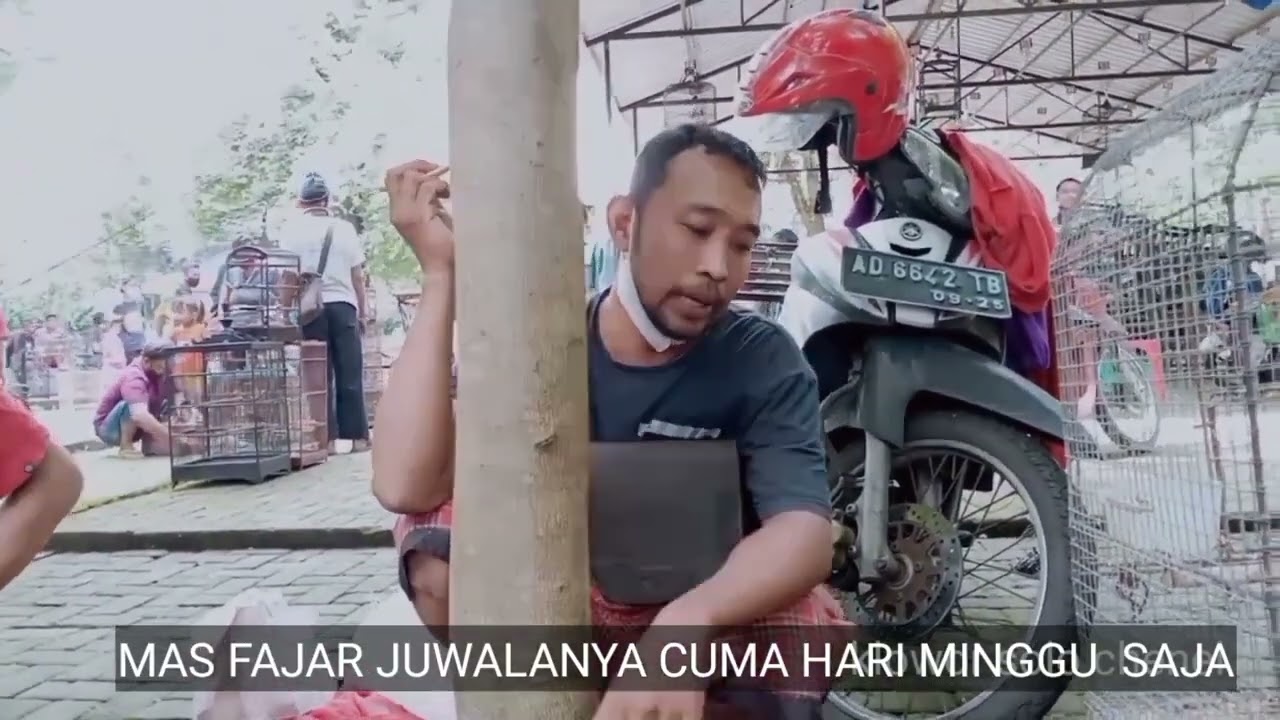 Pasar burung jawa tempo dulue 