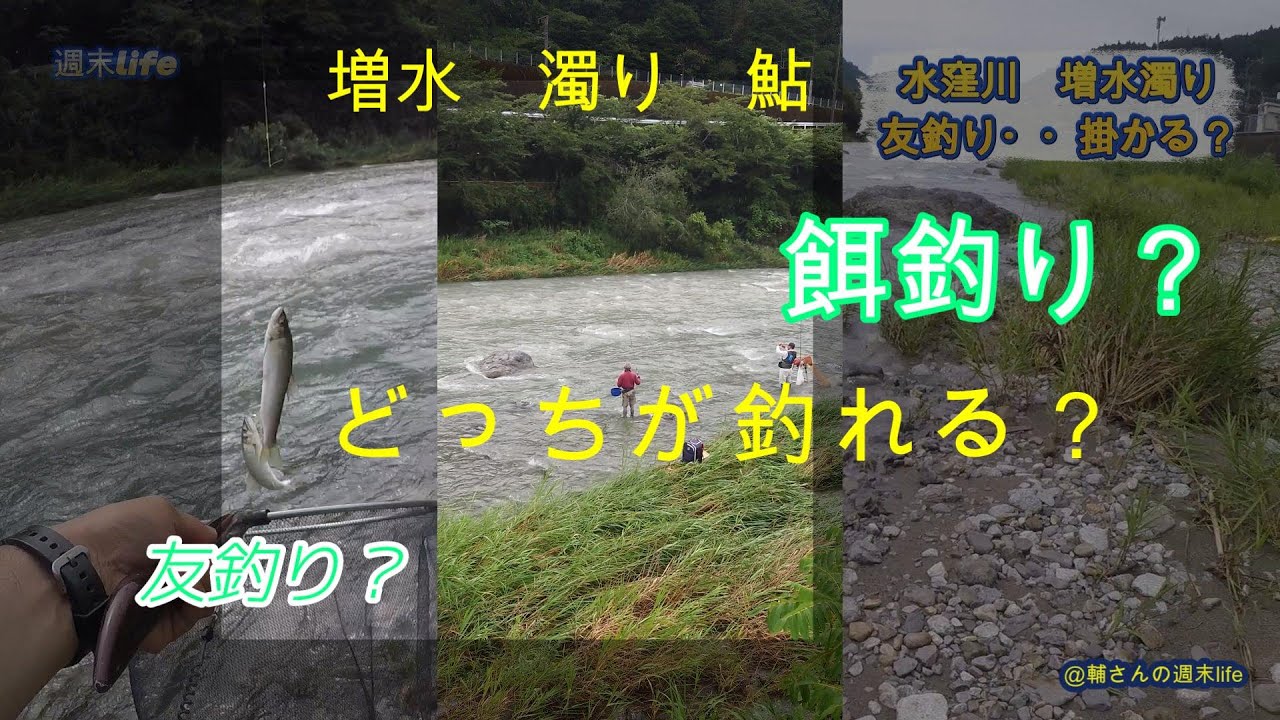 盆休みの友釣り