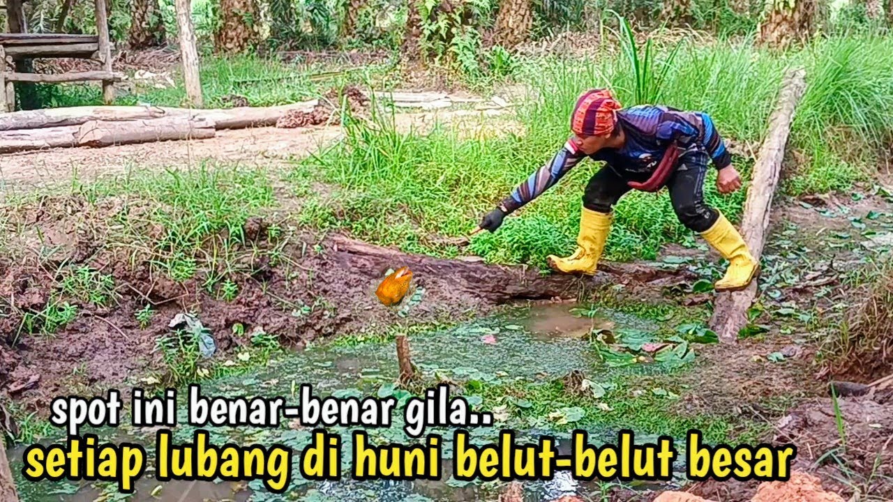 INI MEMANG SPOT GILA‼️SETIAP LUBANG BERISI BELUT BELUT BESAR