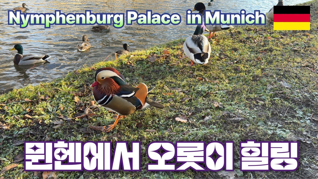 뮌헨의 숨은 보석- 님펜부르크 궁전과 보타니컬 가든