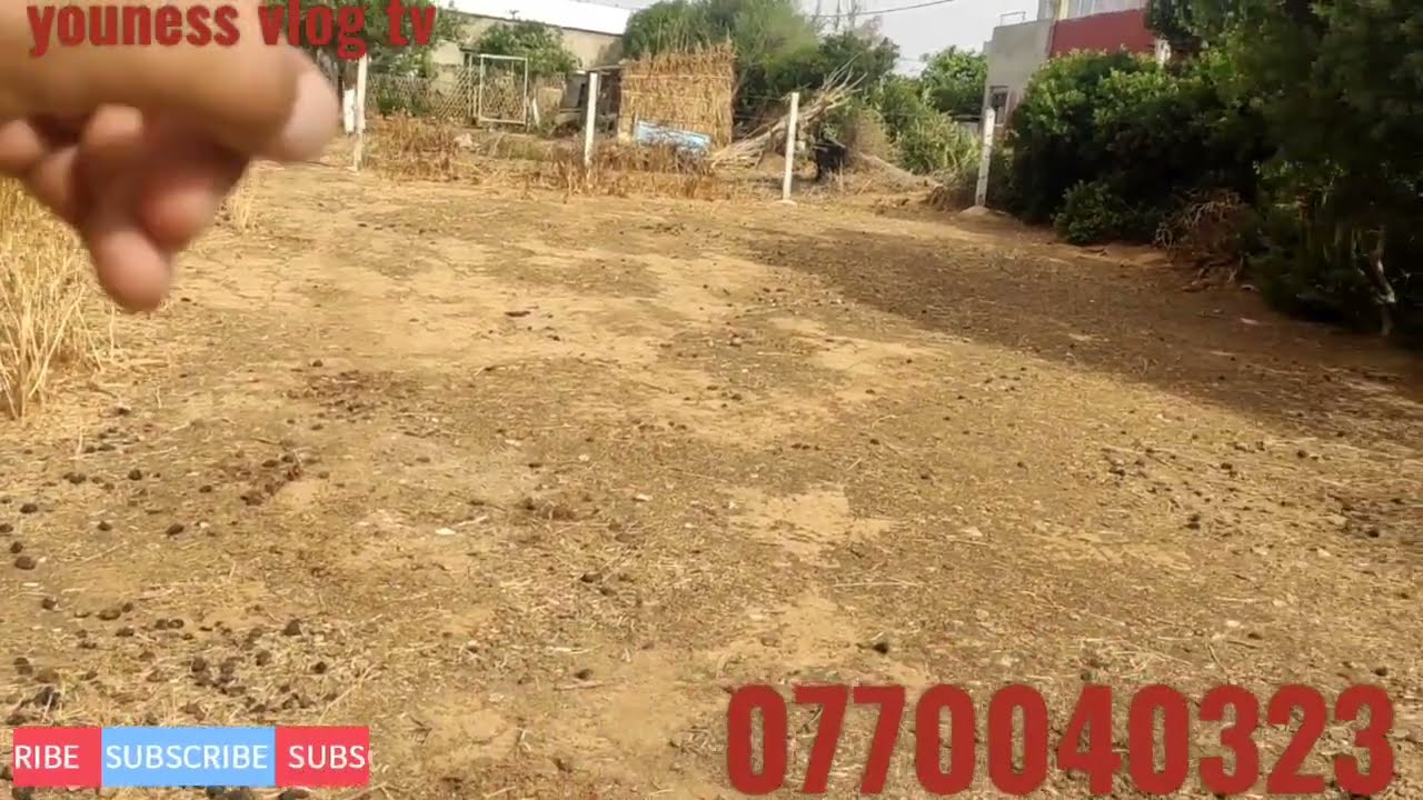 قطعة أرضية للبيع 300 متر تمن 12 مليون طنجة حد الغربية