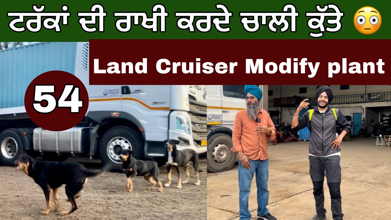 ਟਰੱਕਾਂ ਦੀ ਰਾਖੀ ਕਰਦੇ ਕੁੱਤੇ 🐕 । Land Cruiser Modify plant ।Tanzania, AFRICA