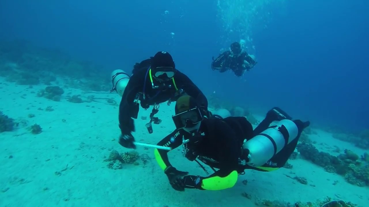 САФАРИ DIVETEAM UA (май 2016)