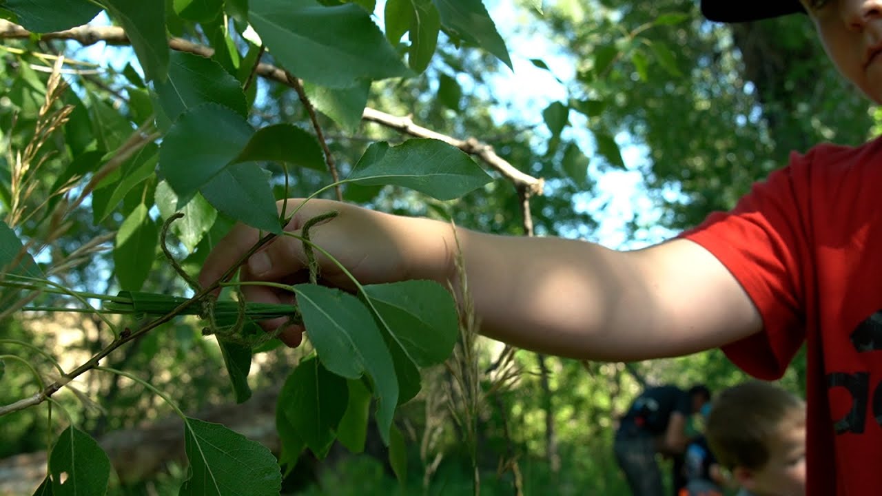 Camouflage: Nature WY