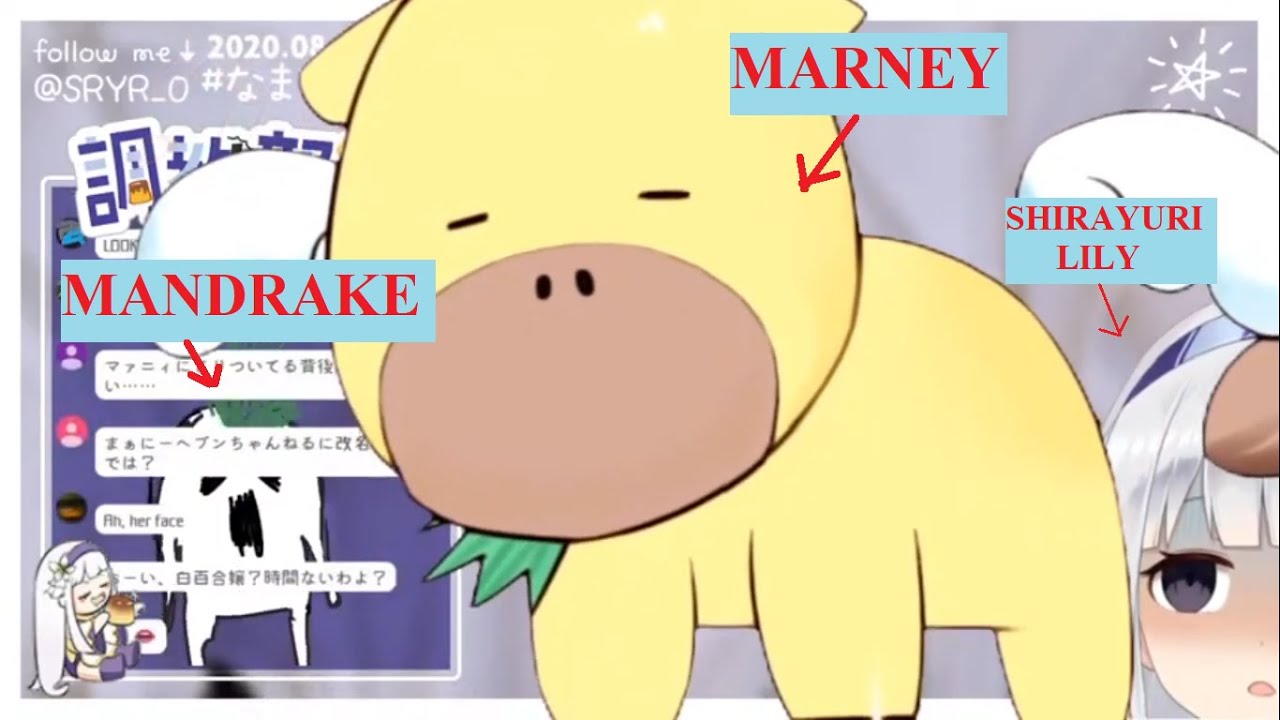 Who is Marney and Mandrake? - Shirayuri Lily (ViViD VTuber)[ENG SUB]