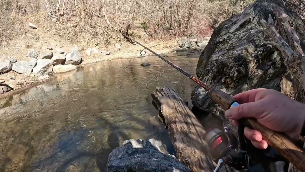 Skunk off Mondays river fishing for trout. 