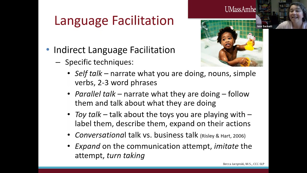 Language Facilitation by OT ECHO Mentorship