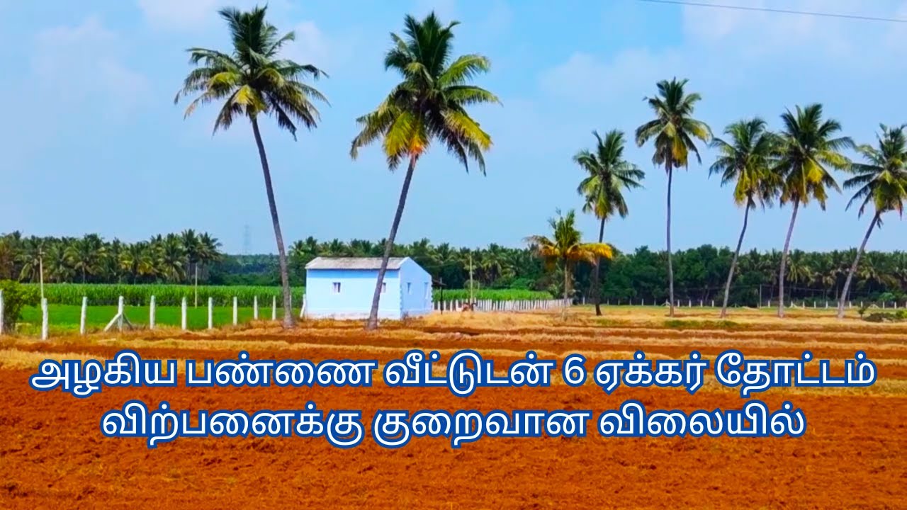 அழகிய பண்ணை வீட்டுடன் 6 ஏக்கர் தோட்டம் விற்பனைக்கு குறைவான விலையில்