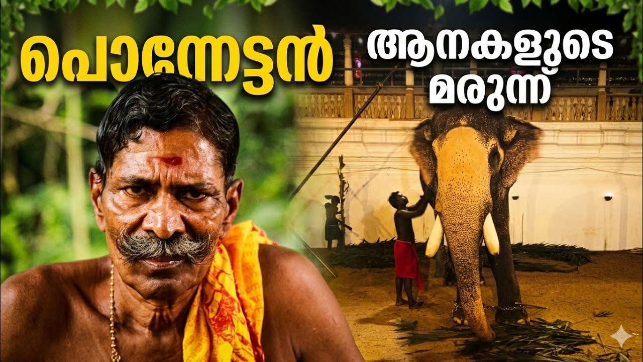 ആനയെ അറിയുന്ന പൊന്നായി മരുന്നെന്ന അത്ഭുതം | ഓണക്കൂർ പൊന്നൻ | സിങ്കം 3 | Elephant Frames