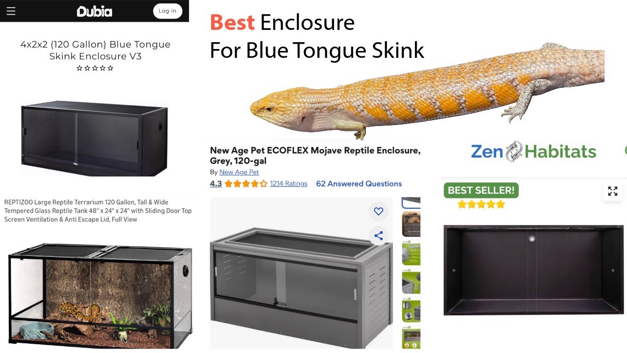 Reptile Enclosures: Pros & Cons of Glass vs. Plastic Habitats