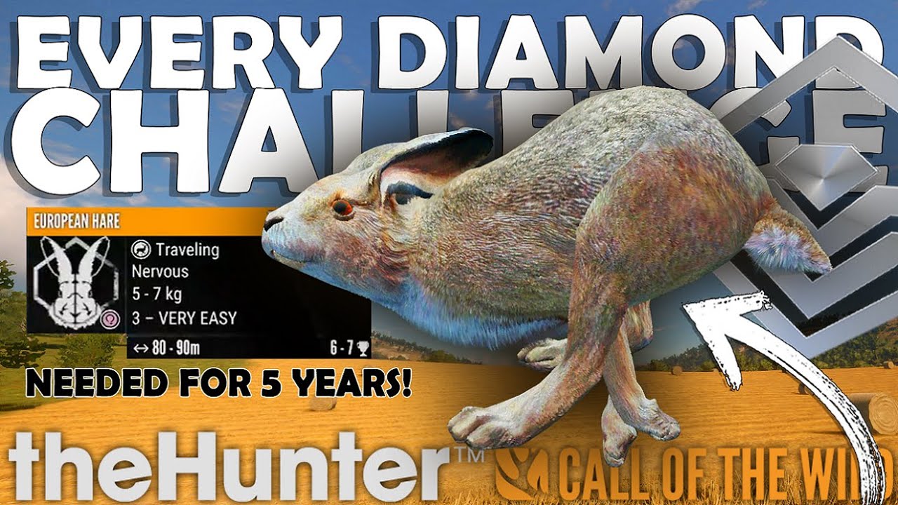 THIS ELUSIVE DIAMOND is FINALLY MINE!!! - Every Diamond Challenge Ep. 27