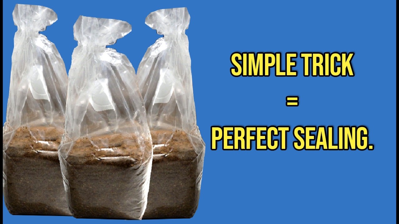 How To Sterilise Mushroom Substrates (No Nonsense Preparation).