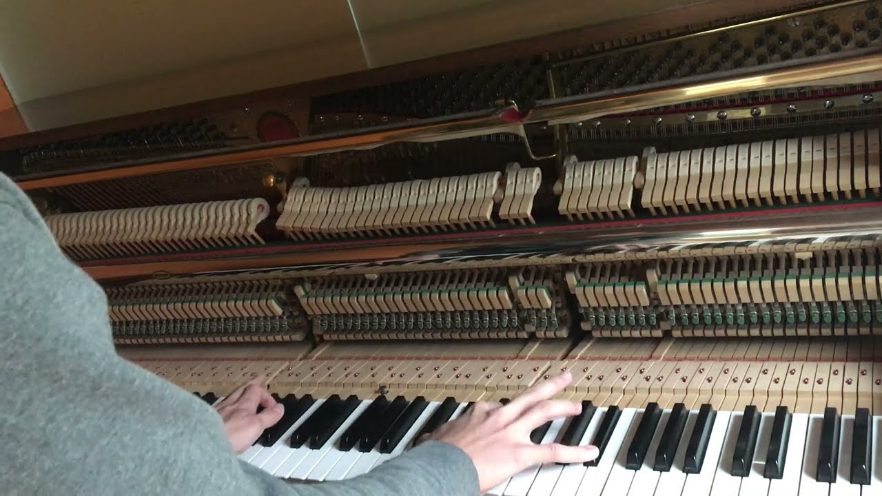 Carlotta Walzer (Gasparone)