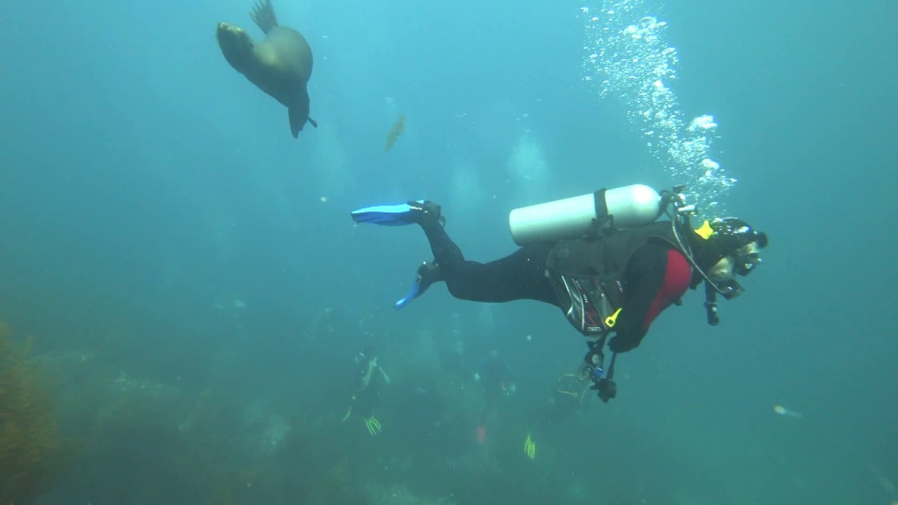 SCUBA San Pedro Nolasco 18 Jun 2017