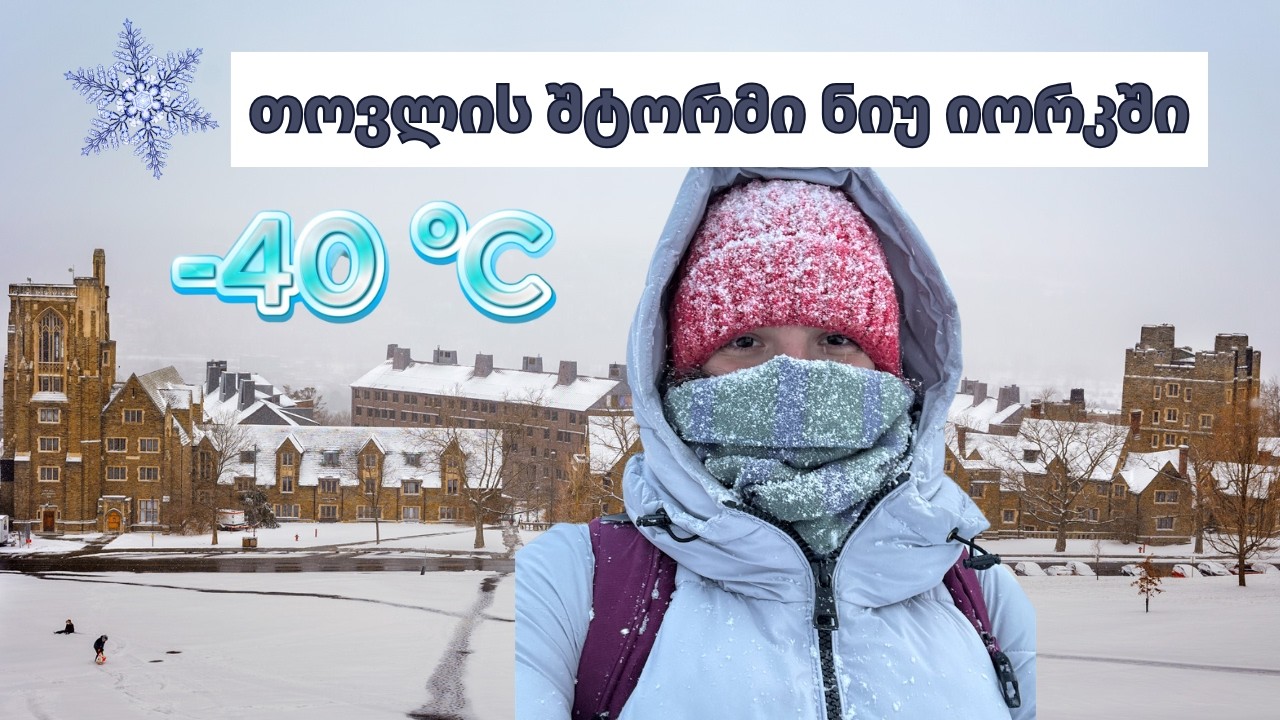შტორმის ერთი კვირა ნიუ იორკში 🌬️