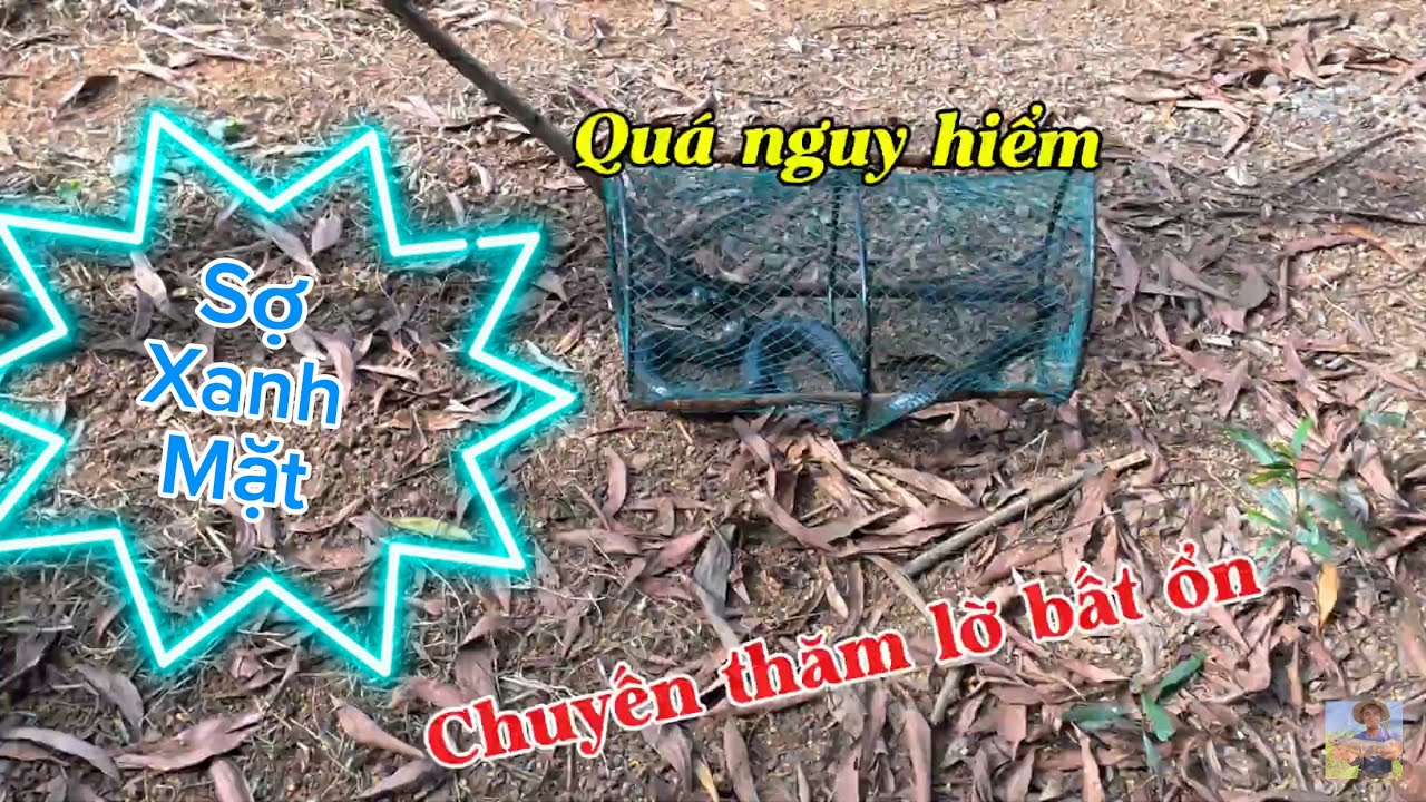 Tôi Đã Chạm Mặt Tử Thần Khi Thăm Lờ, Quá Nguy Hiểm | Thăm lờ ở Củ Chi