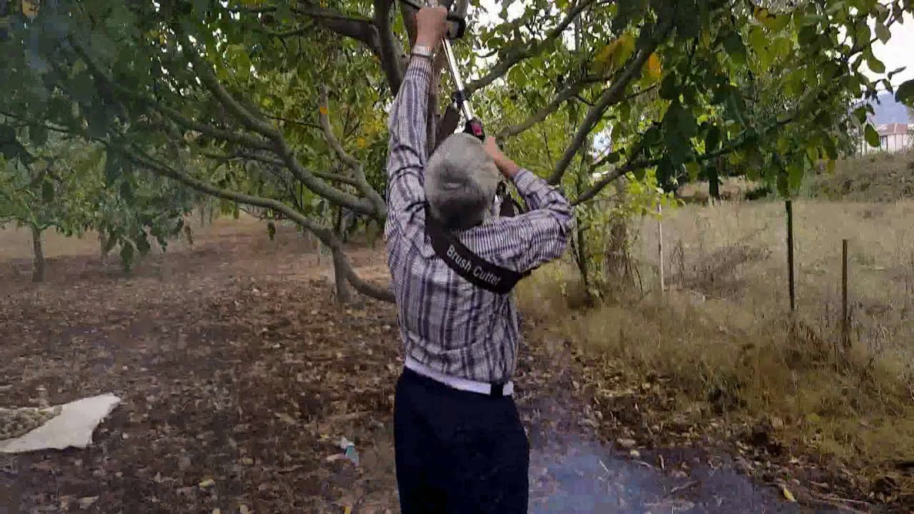 Zeytin ve Ceviz Silkme Makinesi