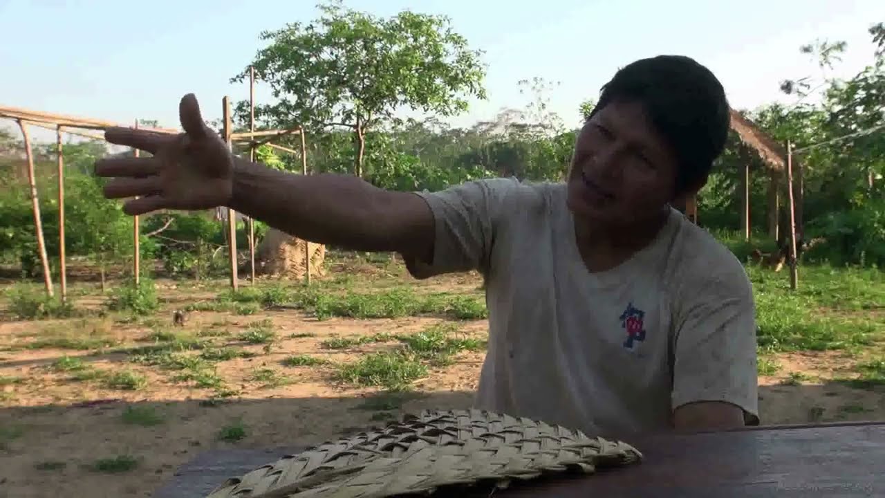 🎥 Entrevista a Julio Tayo | Memoria viva del territorio Pilón Lajas 🌿