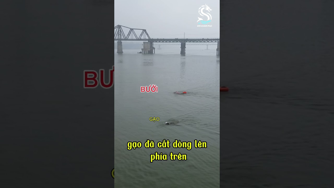 #boikhampha  #swimming #battle Đại chiến s&ocirc;ng Hồng Tập 3 - Tia chớp s&ocirc;ng Hồng vs A Bưởi