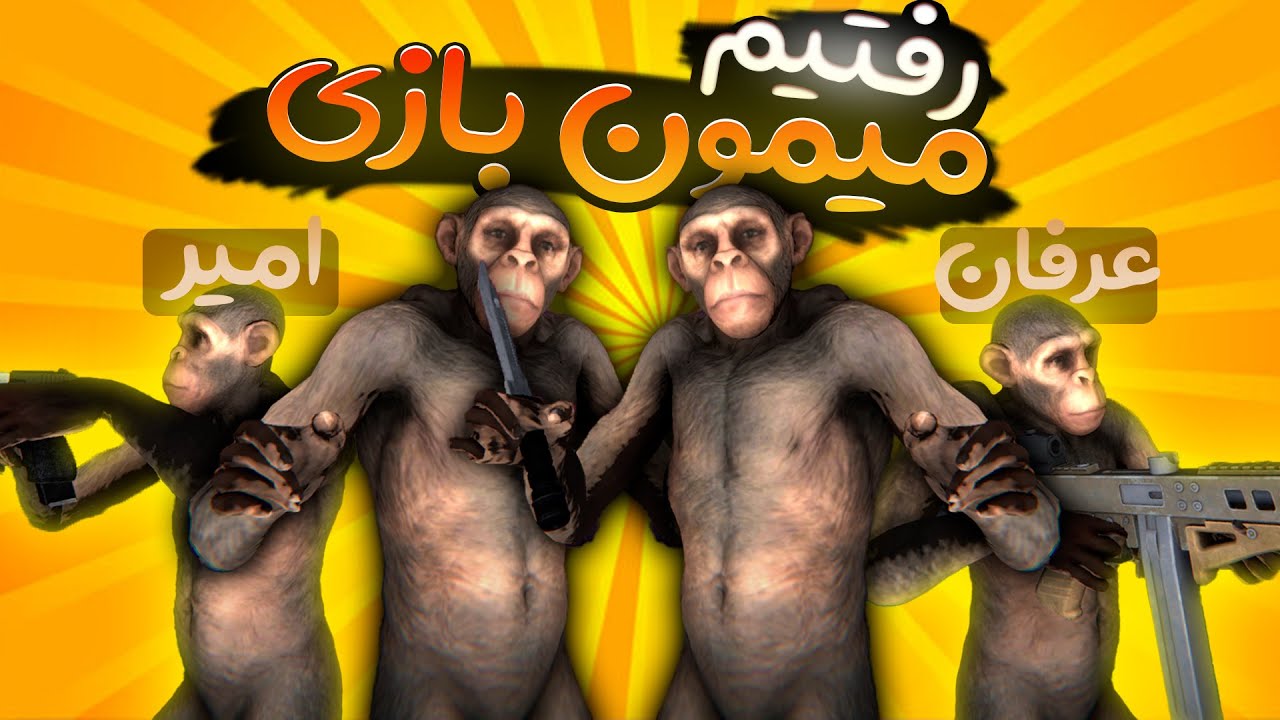 وقتی دسته چهارتا میمون تفنگ بدی همین میشه 😂|| apewar