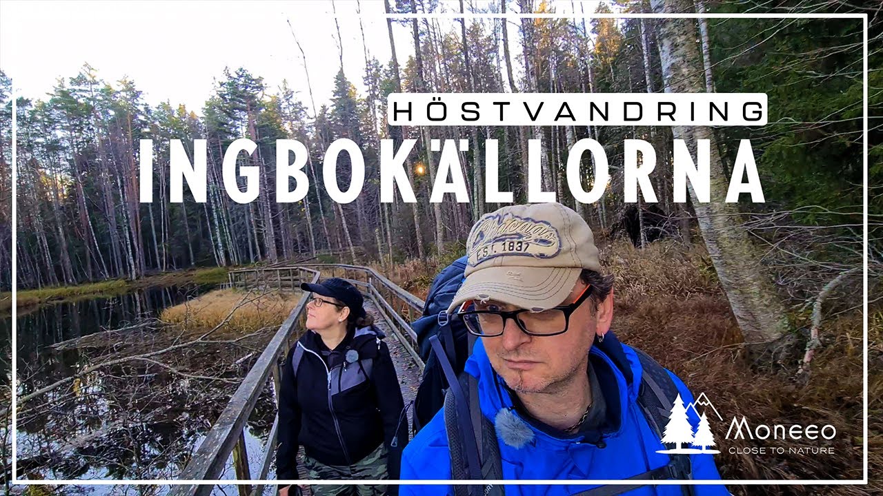 Höstvandring till Ingbo Källor, en del av Upplandsleden.