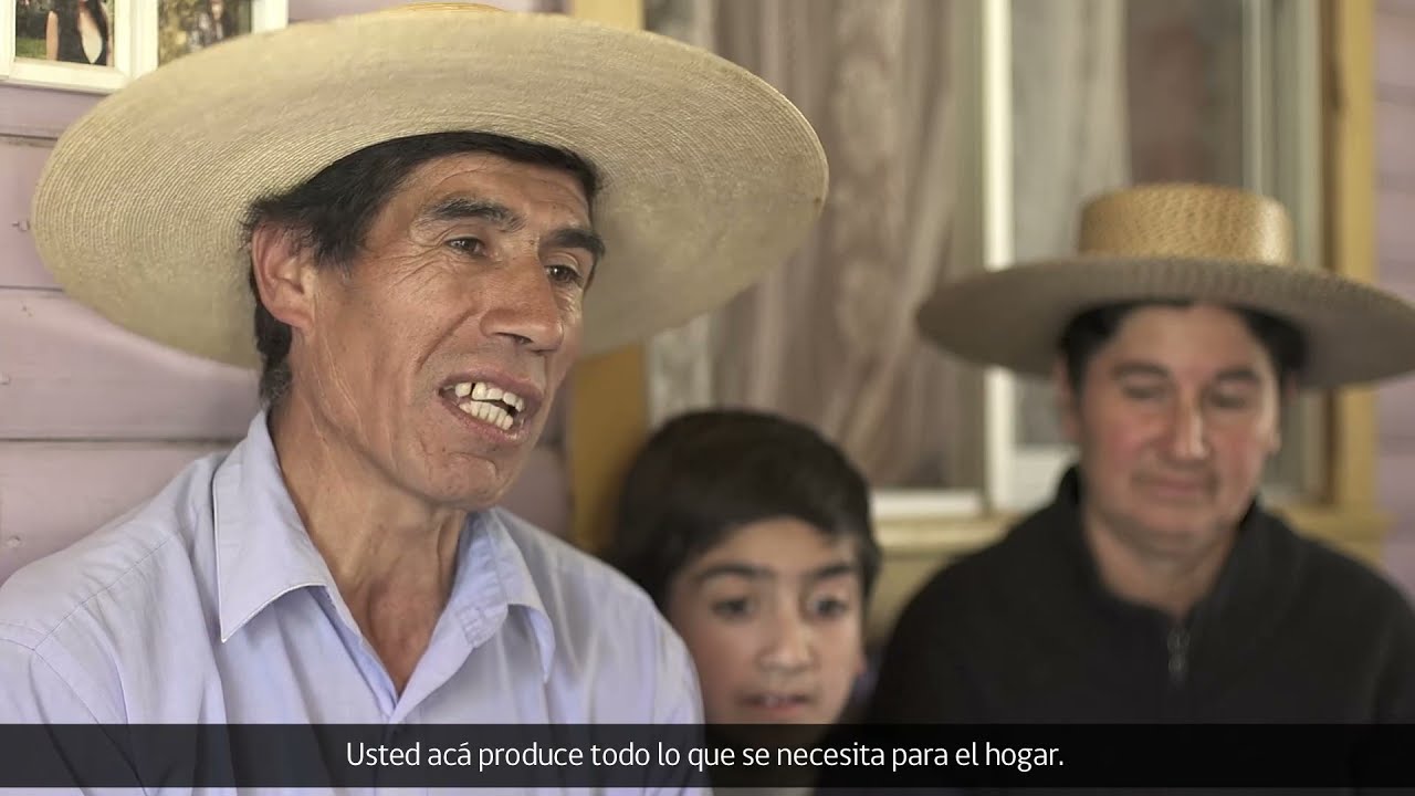 #TesorosHumanosVivos - Colchanderas y Colchanderos de Trehuaco - Documental completo