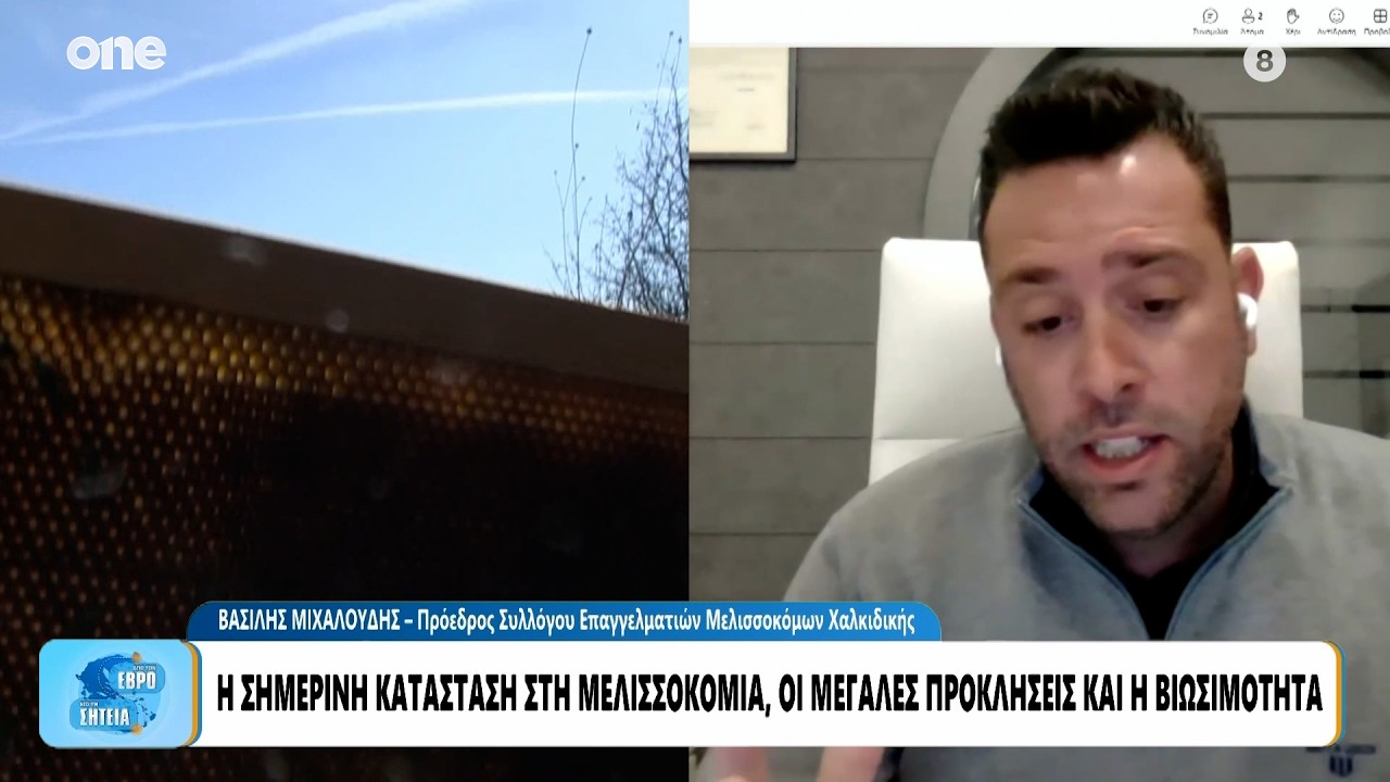 Μελισσοκομία: Πλήγμα οι ελληνοποιήσεις -  «Να γίνονται περισσότεροι έλεγχοι – Υπάρχει ανεπάρκεια»
