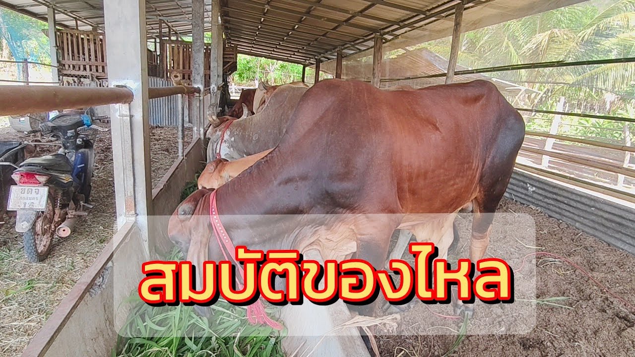 สมบัติของไหล