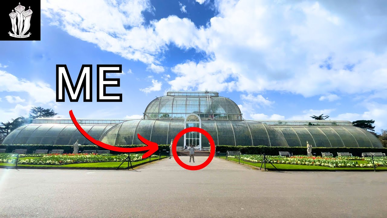 Я посетил самый большой сад в мире — сады Кью