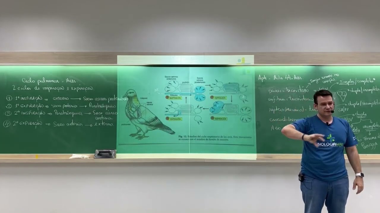 BIOLOGIA MAIS - FISIOLOGIA DA RESPIRAÇÃO (AVES) - PROF. FERNANDO BELAN