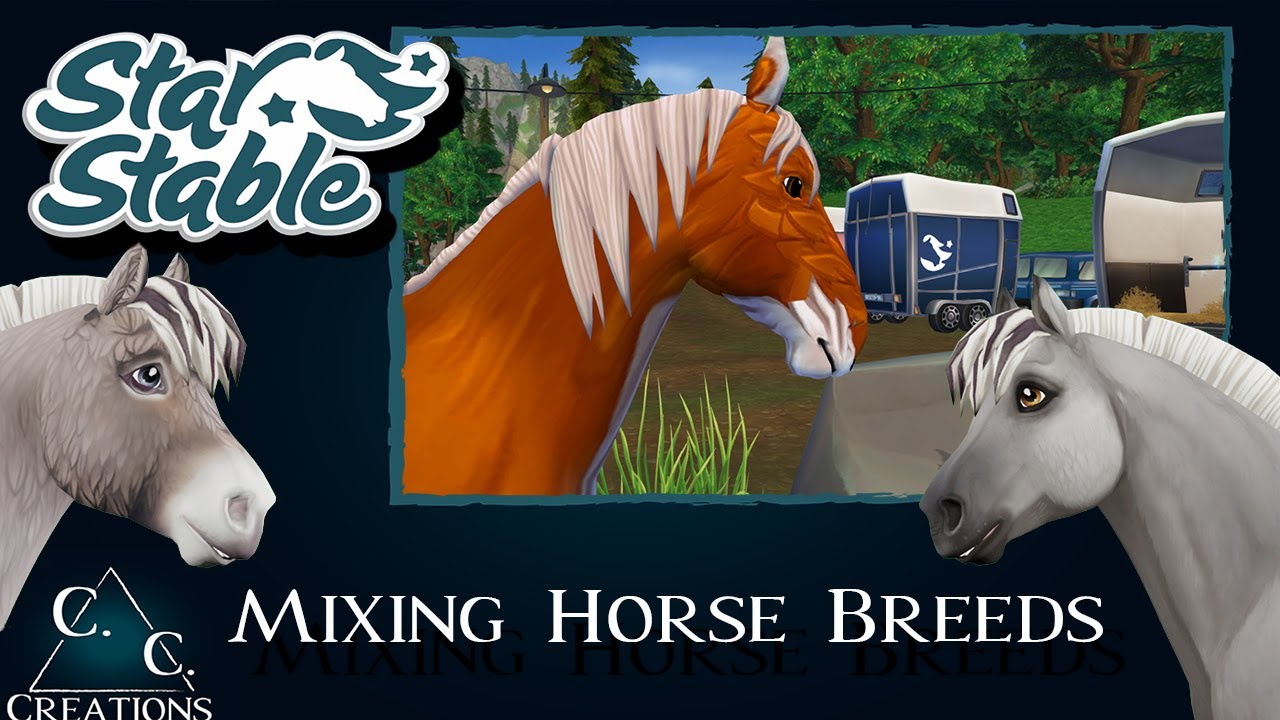Star Stable Online - Mixing Horse Breeds - Pet Edition