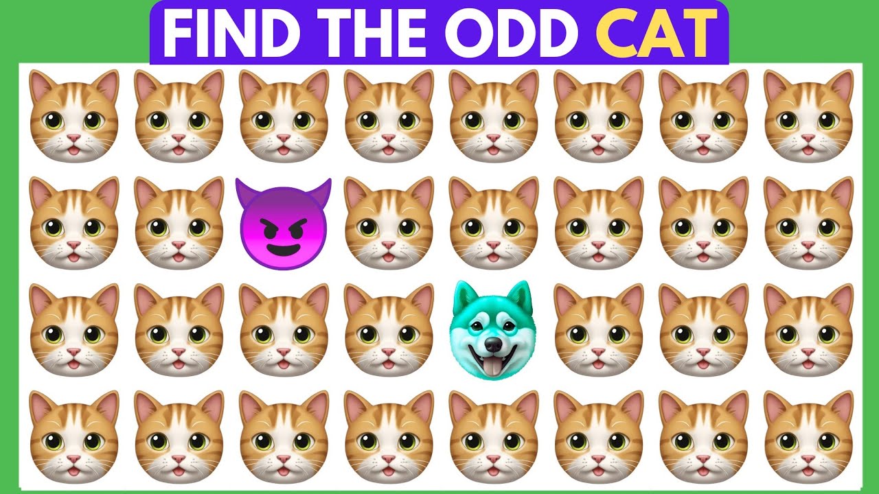 Find The ODD One Out - Cat Edition | Spot The Difference - IJB 19