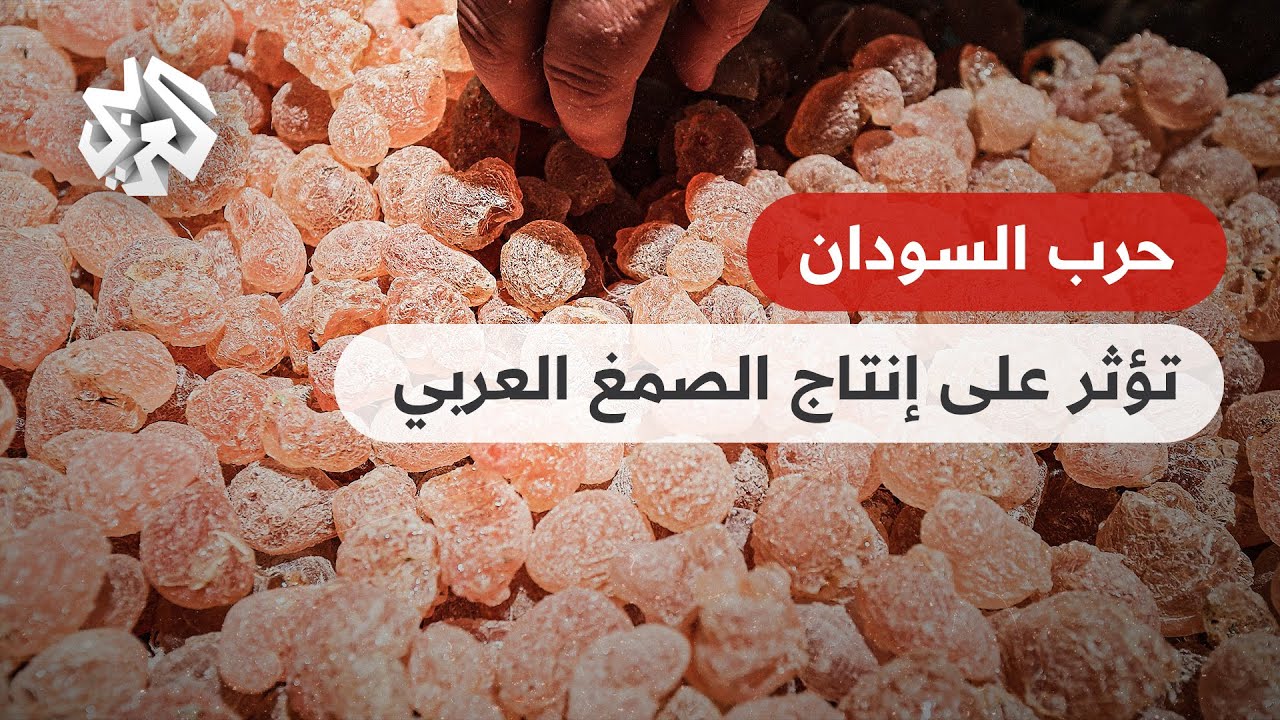 حرب السودان تهدد إمدادات الصمغ العربي وصناعة المشروبات الغازية