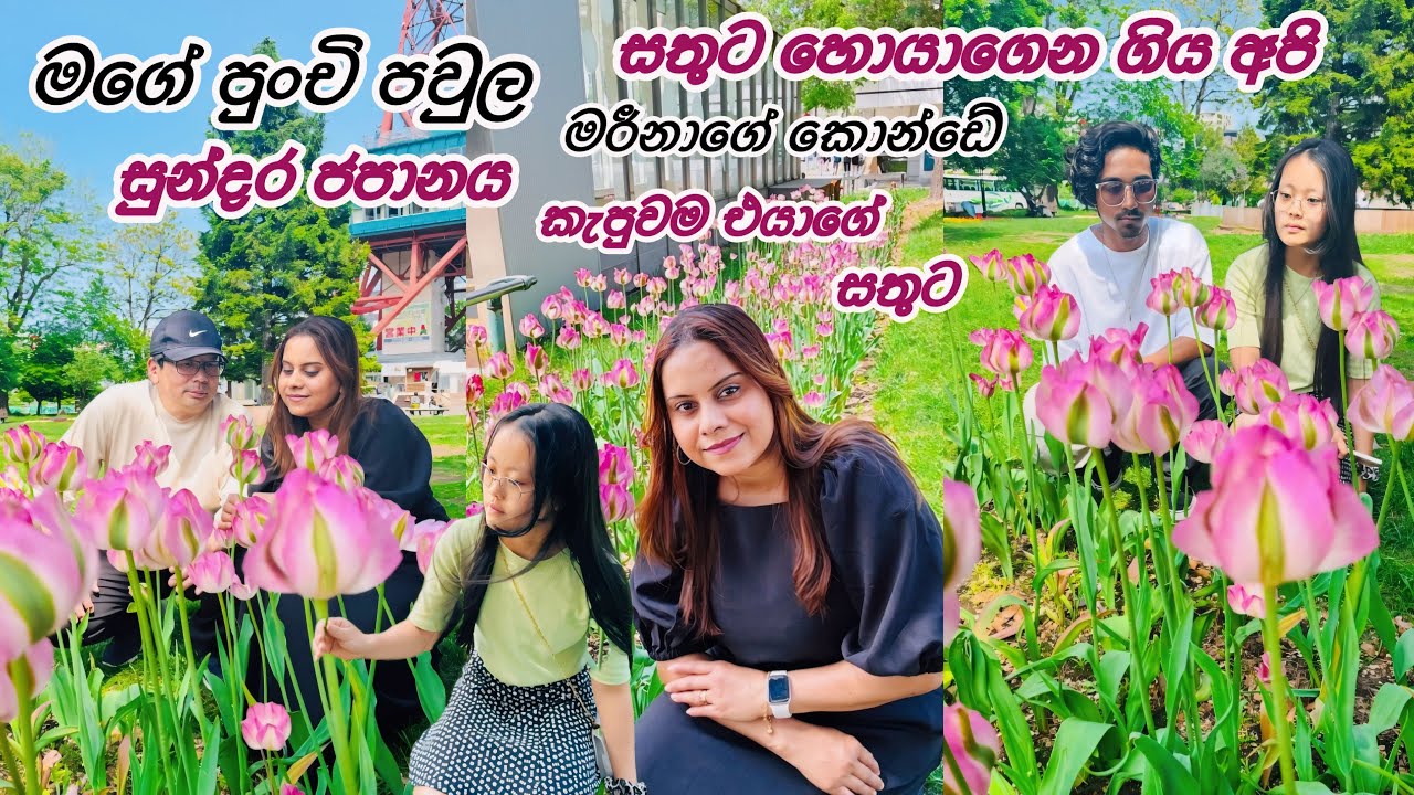 මගේ පවුලේ සතුට 🌷| Life in japan 🇯🇵