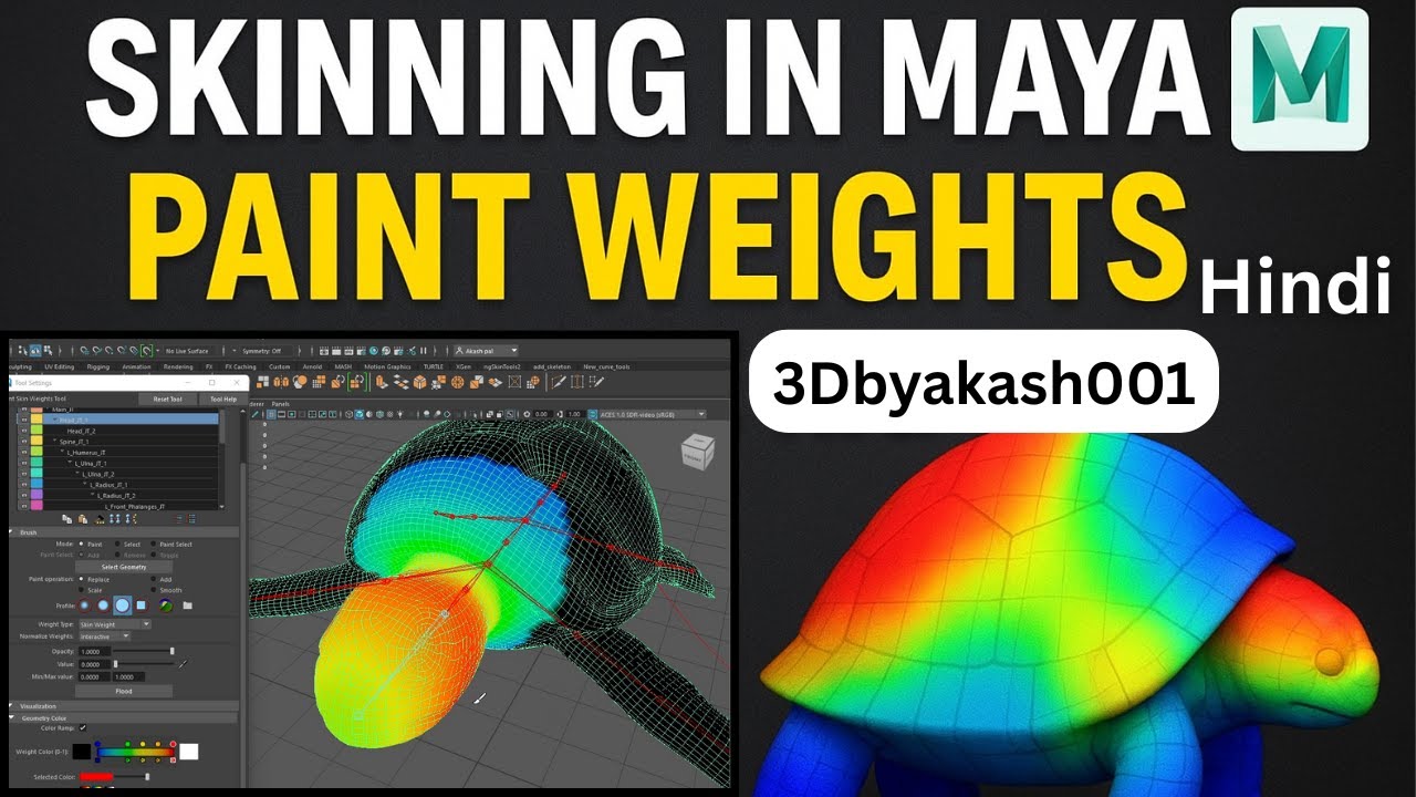 Turtle Skinning  very easy and fast | Maya Paint Weight