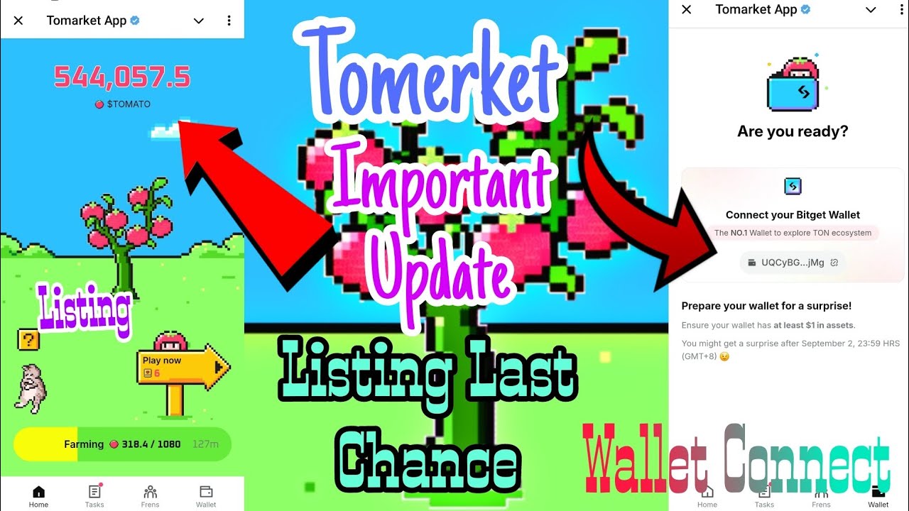 Tomarket ★ Tomato Claim And Withdraw || Bitget Wallet Connect || New Update Tomarket App ||Tomato🍅