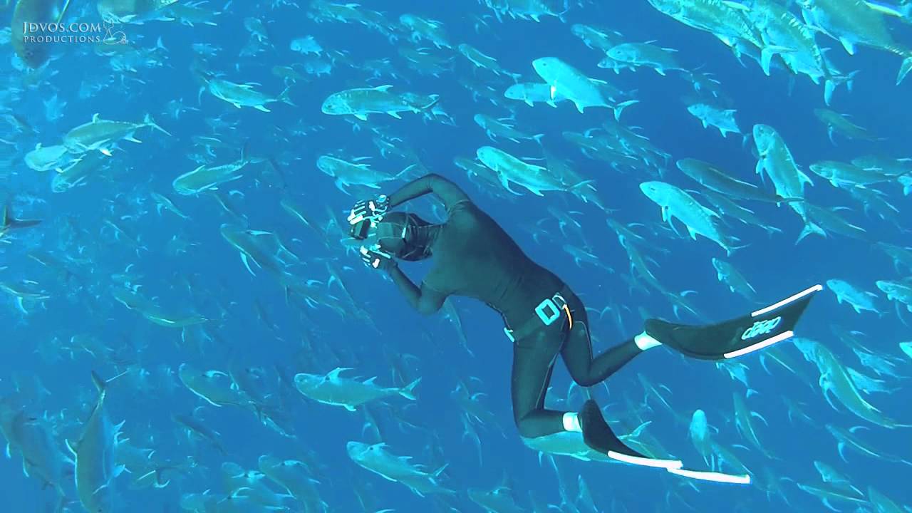 Freediving In A Cloud Of Trevallies - Ras Mohamed