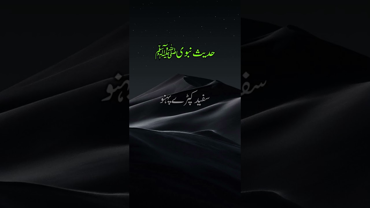 Hadees Sharif | Hadees Pak | Hadees | #hadees #status #shorts