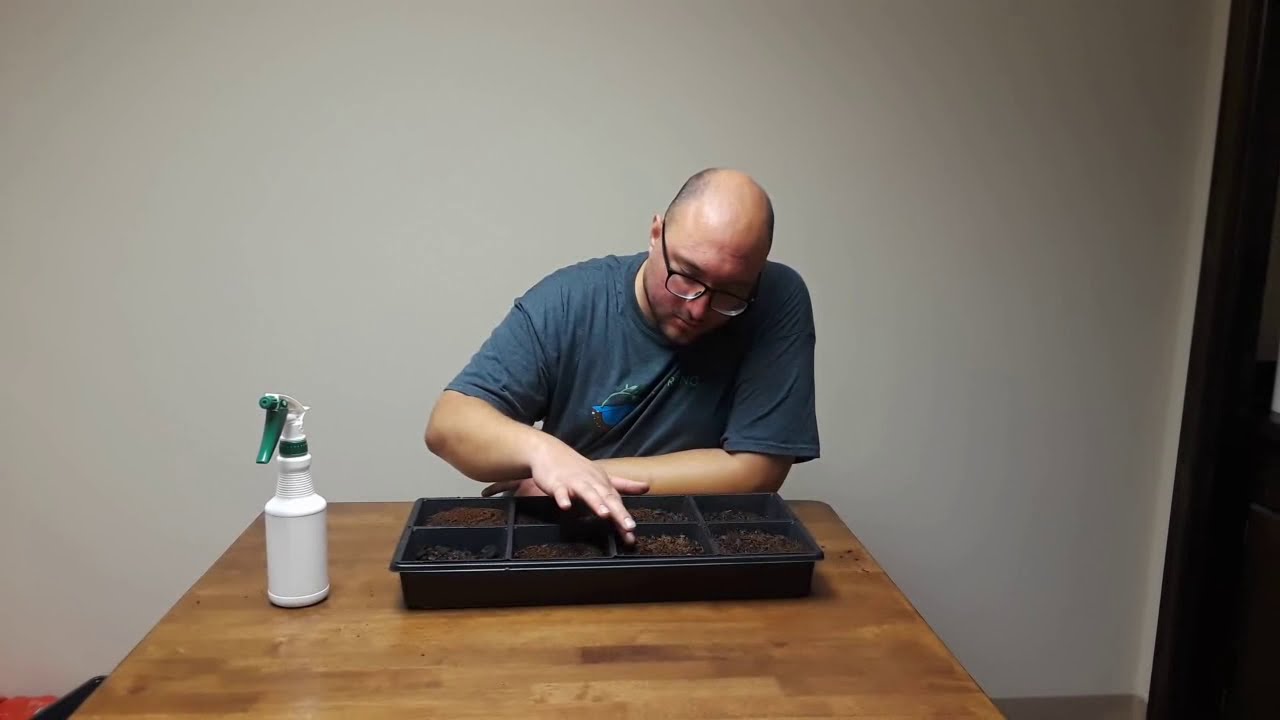 Growing Microgreens: Part 1